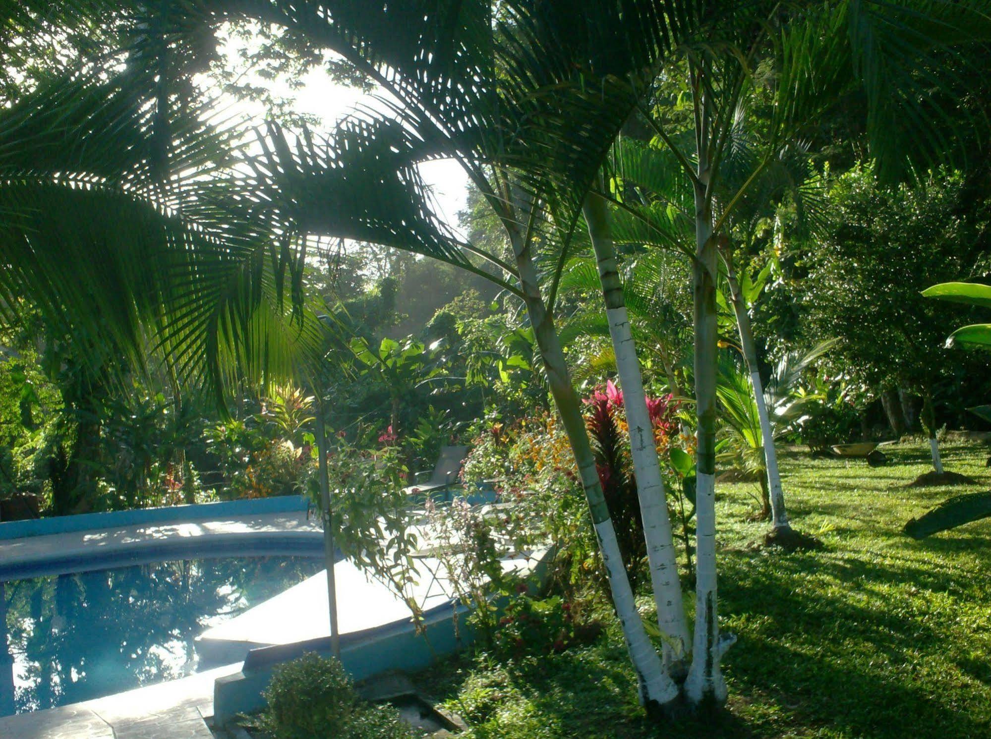 Hotel Lavas del Arenal La Fortuna Exterior foto